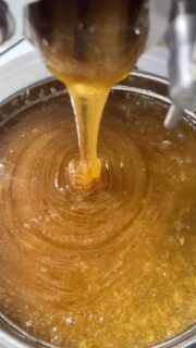 Sommerhonig

Wir durften geatern den aromatischen Sommerhonig schleudern. 

Schon bald kann er bei uns bezogen werden. 

#honig #sommerhonig #honey #imkern #bienen #naturprodukt #killwangen #aargau #limmattal  #az_gram  #liz_gram