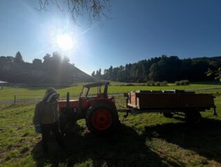 Sommerferien

Auch unsere Bienen fahren in die Sommerferien. 

Infolge Forstarbeiten an unserem Standort, kommen unsere Bienen dieses Jahr zu Sommerferien im Nachbardorf. 🌴

Der Transport verlief reibungslos und die Bienen fliegen sich bereits munter ein und erkunden die neue Gegend. 

#imkern #bienen #wanderimker #bee #beekeepers  #biendli2 #biendli